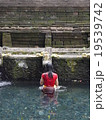 水浴び 19539742