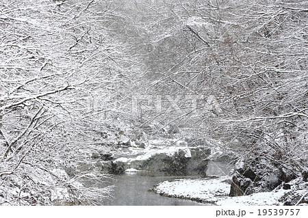 湯西川と樹氷 湯西川と樹氷 19539757