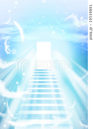 光と羽の舞う階段 19539891