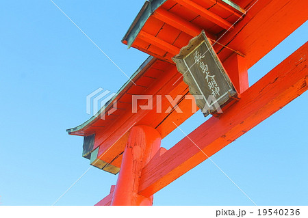 鳥居 19540236