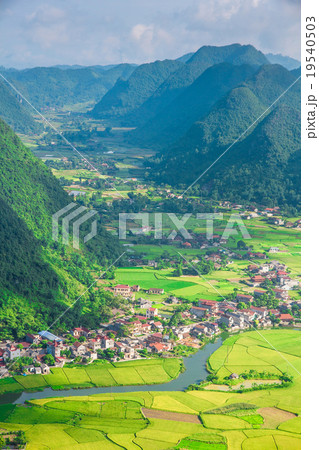 village rice field in valley Bac Son, Vietnam. 19540503