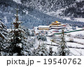 spruce forest around house snow mountain 19540762