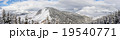 spruce forest around mountain 19540771