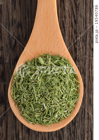 ディルウィード 19540786