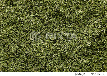 ディルウィード 19540787