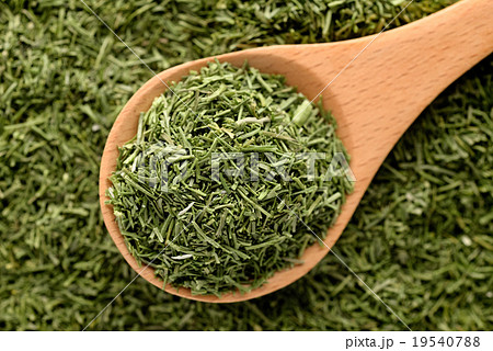 ディルウィード 19540788