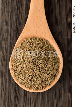 セロリシード 19540879