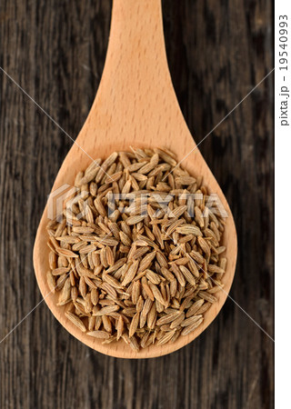 クミンシード クミンシード 19540993