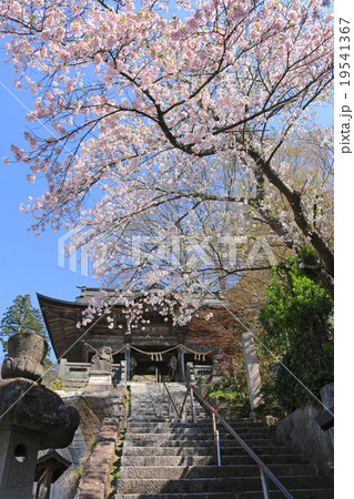春の福満虚空蔵尊円蔵寺 19541367