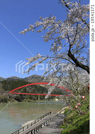 春の福満虚空蔵尊円蔵寺からの眺め 春の福満虚空蔵尊円蔵寺からの眺め 19541371