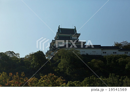 駐車場からの和歌山城 19541569