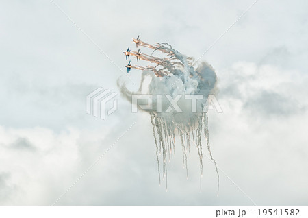 aviafighters SU-27 let out thermal traps 19541582