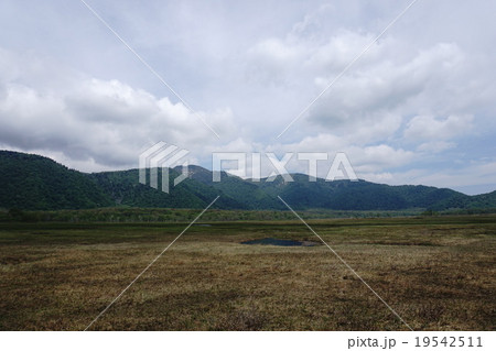 尾瀬 尾瀬 19542511