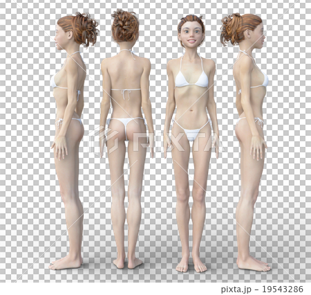 女性の身体　４方向　水着バージョン　perming3DCGイラスト素材 19543286