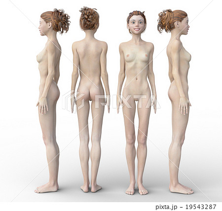 女性の身体　４方向　フルヌードバージョン　perming3DCGイラスト素材 19543287
