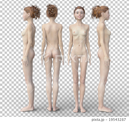 女性の身体　４方向　フルヌードバージョン　perming3DCGイラスト素材 19543287