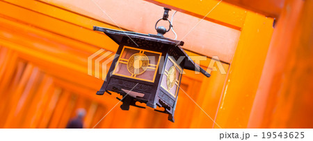 Fushimi Inari Taisha Shrine in Kyoto, Japan. 19543625