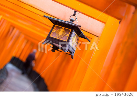Fushimi Inari Taisha Shrine in Kyoto, Japan. 19543626