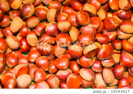 Pile of chestnuts. 19543627