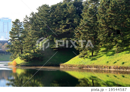 皇居桜田壕 皇居桜田壕 19544587