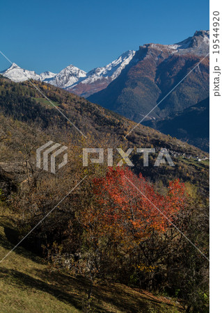 Autumn in swiss alps Autumn in swiss alps 19544920