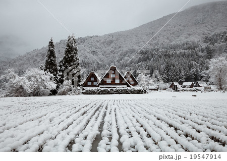 雪の白川郷 雪の白川郷 19547914