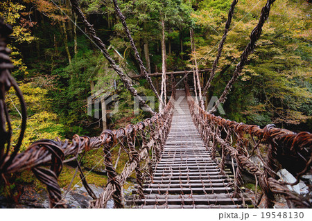 徳島県かづら橋と紅葉 19548130