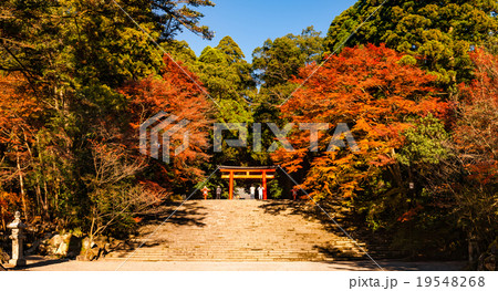 紅葉の参道 19548268