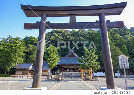 物部神社大鳥居 19548556