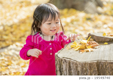秋の公園で遊ぶ女の子 19549740