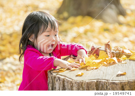 秋の公園で遊ぶ女の子 秋の公園で遊ぶ女の子 19549741