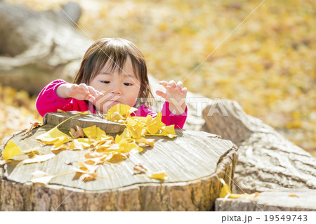 秋の公園で遊ぶ女の子 19549743