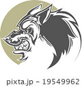 evil wolf patterned  19549962