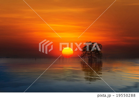 Sunrise at Pakpra Sunrise at Pakpra 19550288
