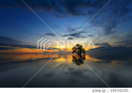 Sunrise at Pakpra Sunrise at Pakpra 19550295