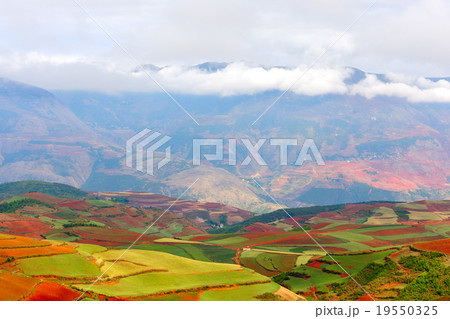 Red land Red land 19550325