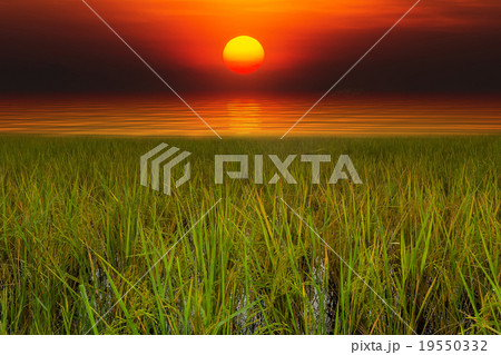 Sunrise at Pakpra 19550332