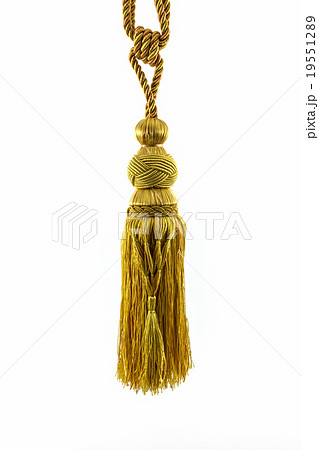 Golden curtain tassel interior decoration. 19551289