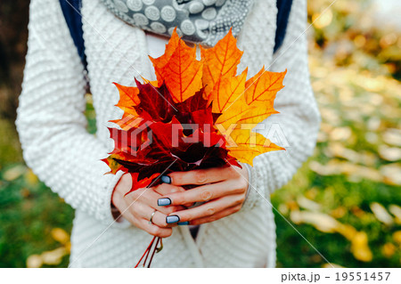 Autumn leaves in girl hands Autumn leaves in girl hands 19551457