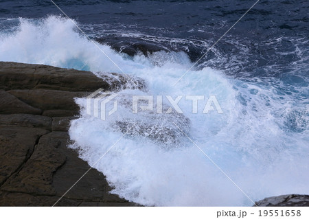 須佐湾の波濤 須佐湾の波濤 19551658