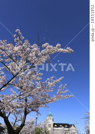 春の郡山市公会堂 19551952