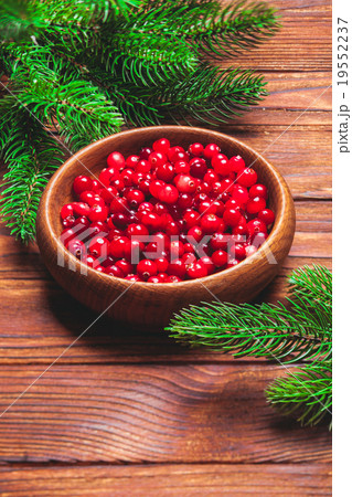 Fresh cranberries in bowl Fresh cranberries in bowl 19552237