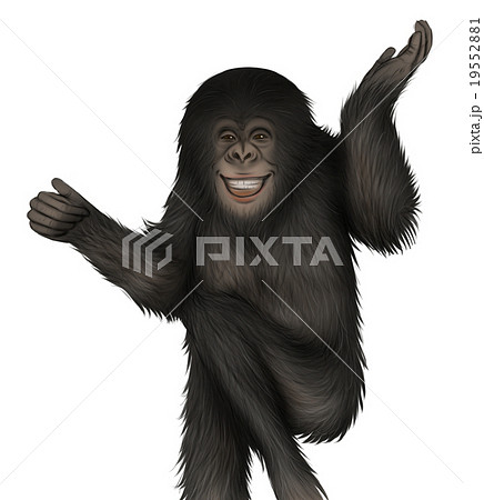 リアルなチンパンジーのイラスト 手を振る のイラスト素材