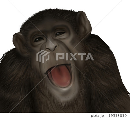 リアルなチンパンジーのイラスト 笑顔 爆笑 のイラスト素材