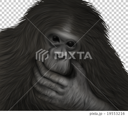 リアルなチンパンジーのイラスト 口に手を当てる のイラスト素材