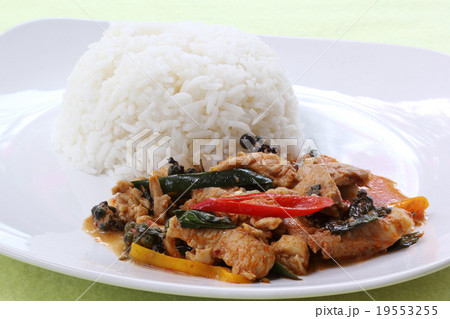 Chicken panang curry with rice Chicken panang curry with rice 19553255