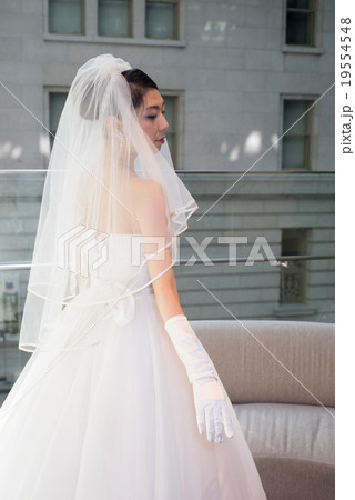 新婦の後姿 19554548