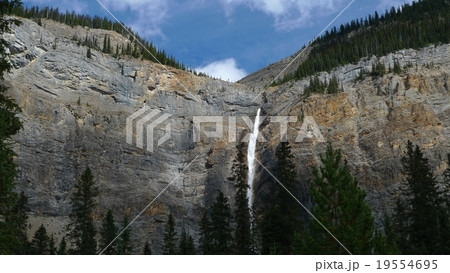 カナダ ロッキー山脈 タカカウの滝 カナダ ロッキー山脈 タカカウの滝 19554695