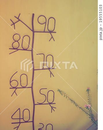 ものさし ものさし 19555103