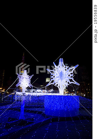 さっぽろホワイトイルミネーション2015 19556839